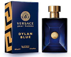 VERSACE  DYLAN  BLUE    100ML