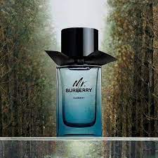 MR BURBERRY  ELEMENT  EDT  100 ML