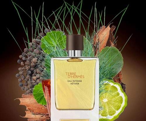 [HERMES] HERMES TERRE  D HERMES VETIVER INT EDP  100 ML