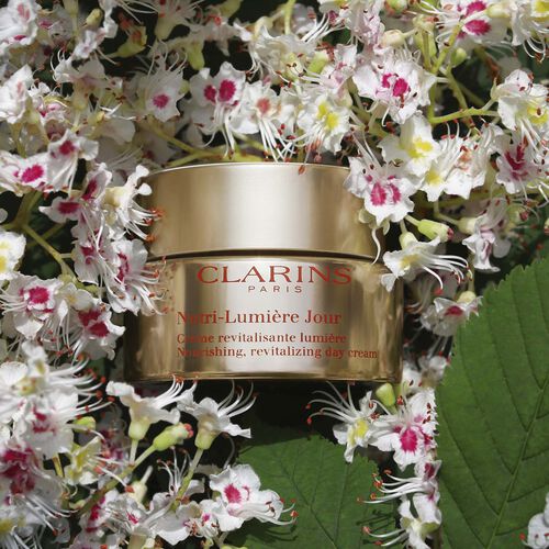 [CLARINS] CLARINS CLS NUTRI LUMIERE DAY CREAM  50 ML