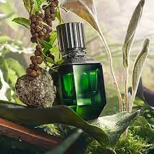 [ROBERTO CAVALI] ROBERTO CAVALLI PARADISE FOUND MAN EDT 75 ML